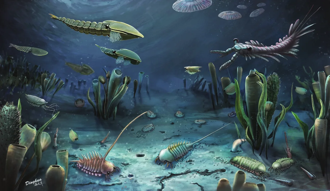 An illustrated Cambrian seascape filled with early animal life